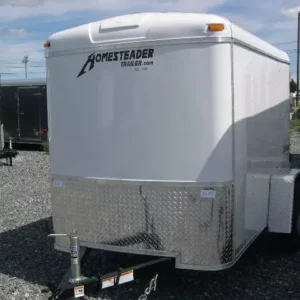 Homesteader 5 x 8 Enclosed Cargo Trailer Single Rear Door